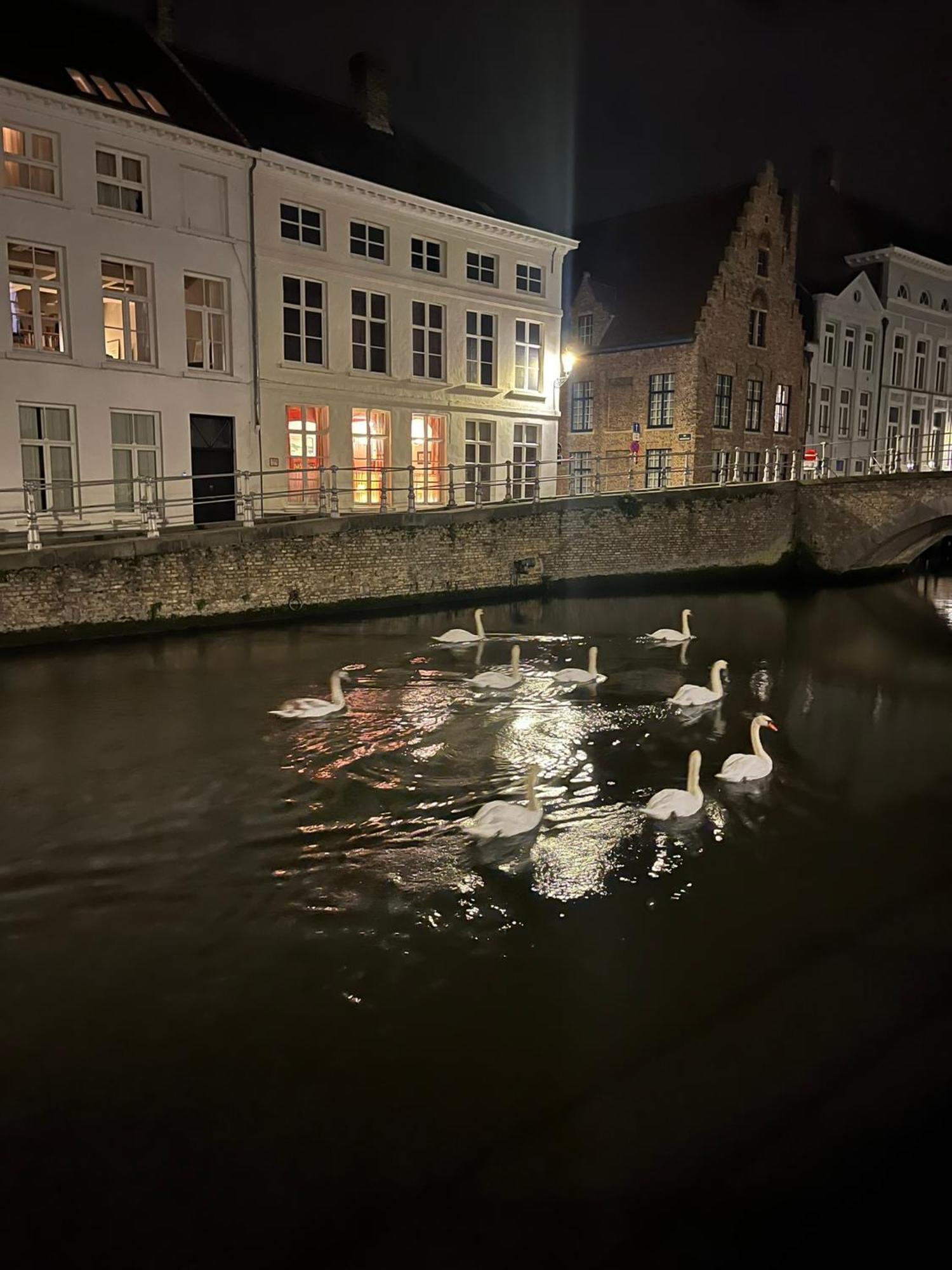 B&B Anna9 Bruges Exterior foto